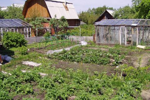 Навес и камень продлевают срок службы уличной кухни и повышают комфорт владельцев участка