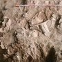 В Перу обнаружили 4000-летний храм, предположительно использовавшийся для жертвоприношений В Перу обнаружили 4000-летний храм, предположительно использовавшийся для жертвоприношений