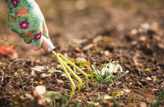 Земля передает нам сигналы через дождевых червей и структуру почвы — агроном