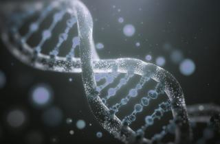 Генная инженерия поможет восстановить исчезающие виды животных — NRB