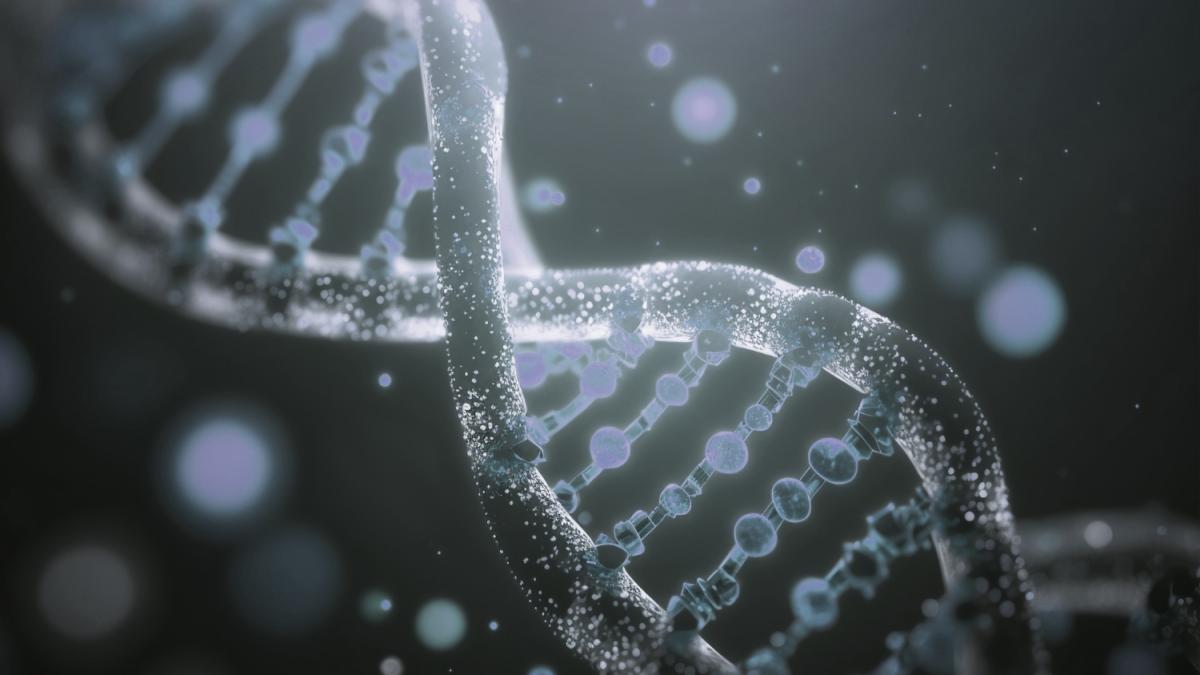 Представление цепи ДНК человека