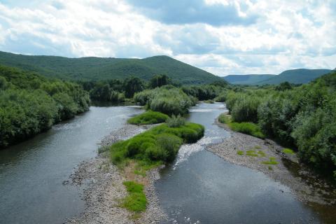 Российская блогерша описала хаотичную застройку курорта Андреевка в Приморье