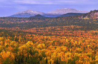 Жителей Челябинской области ждут гастротуры, паломничества и промэкскурсии в ноябре