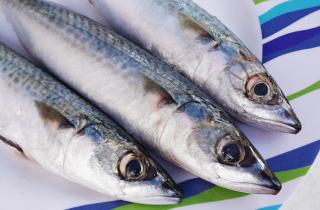 Кулинары: йодированная соль при засолке скумбрии вызывает горечь