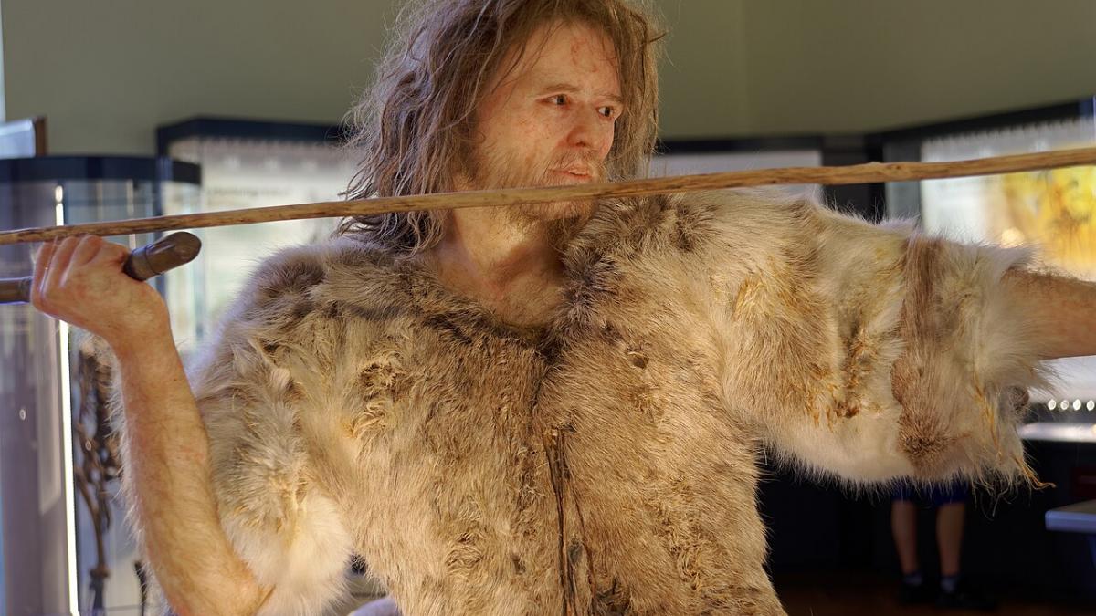 Homo Sapiens, Кроманьонец, Музей естественной истории, Вена Homo Sapiens, Кроманьонец, Музей естественной истории, Вена