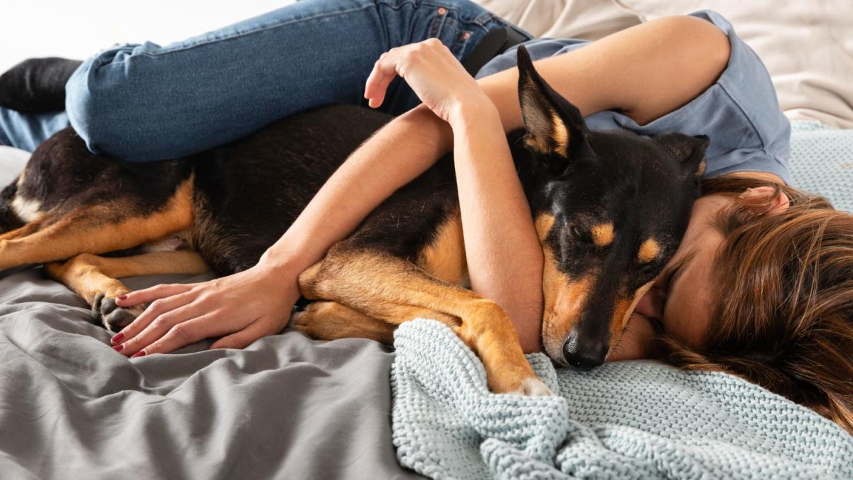 Девушка спит с собакой