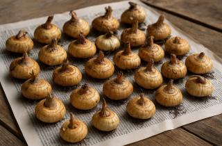 Обработка луковиц гладиолусов перед посадкой предотвращает грибковые заболевания — Елена Иванова