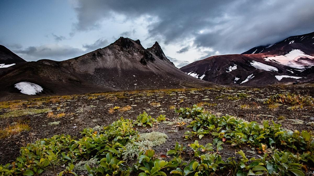 Камчатка Камчатка