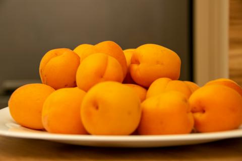 Квашеная капуста полезнее мандаринов для иммунной системы — Елена Пятикова