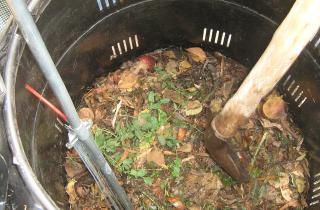 Томаты отреагировали мощно — положил компост в лунку, но весь эффект — в дозировке