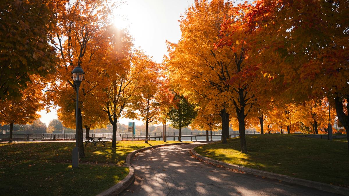 Прогулка по осеннему городу