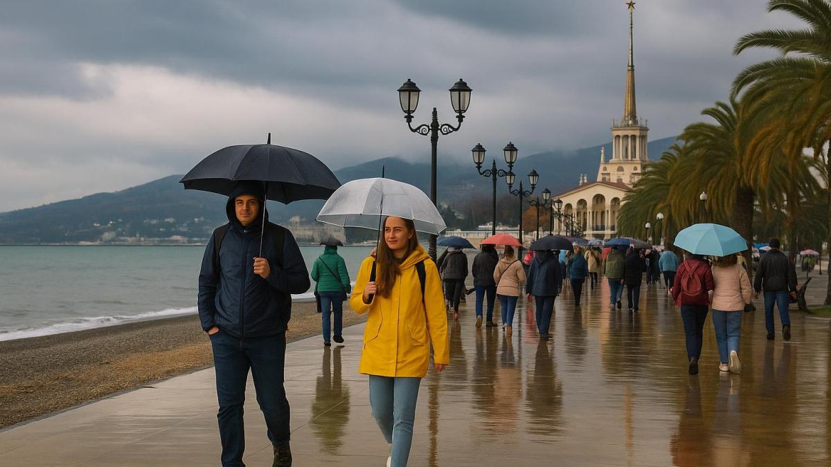 Дождливая погода Дождливая погода