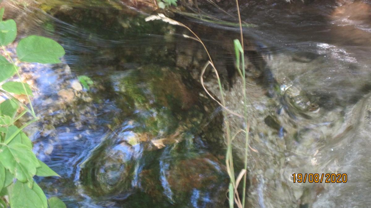 Родник Голубой Глаз 6