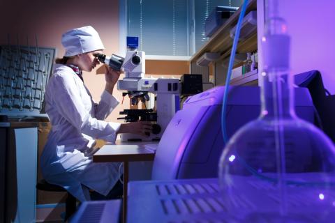 В 2026 году откроют около 200 новых молодежных лабораторий - Минобрнауки РФ