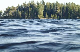 Госприроднадзор и МЧС фиксируют случаи мойки машин у рек и озёр по фото и видео