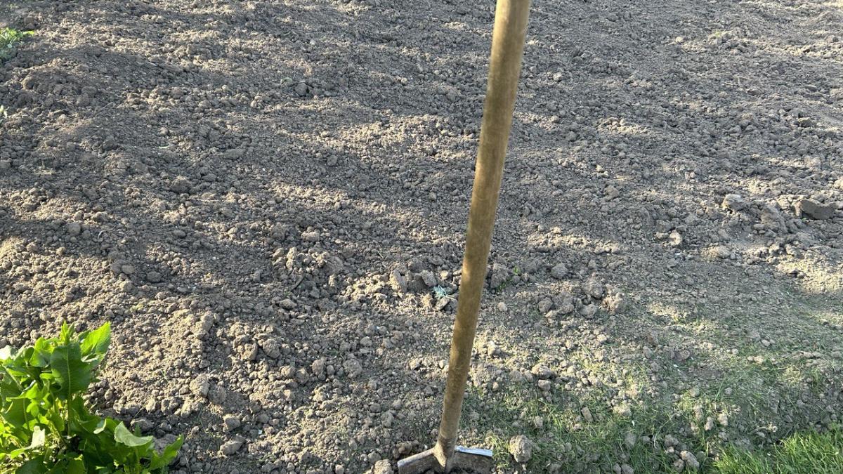 Лопата Лопата