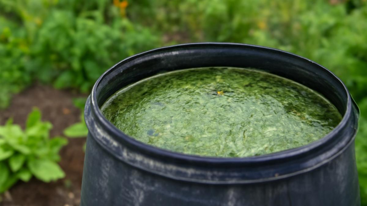 Жидкое удобрение из скошенной травы