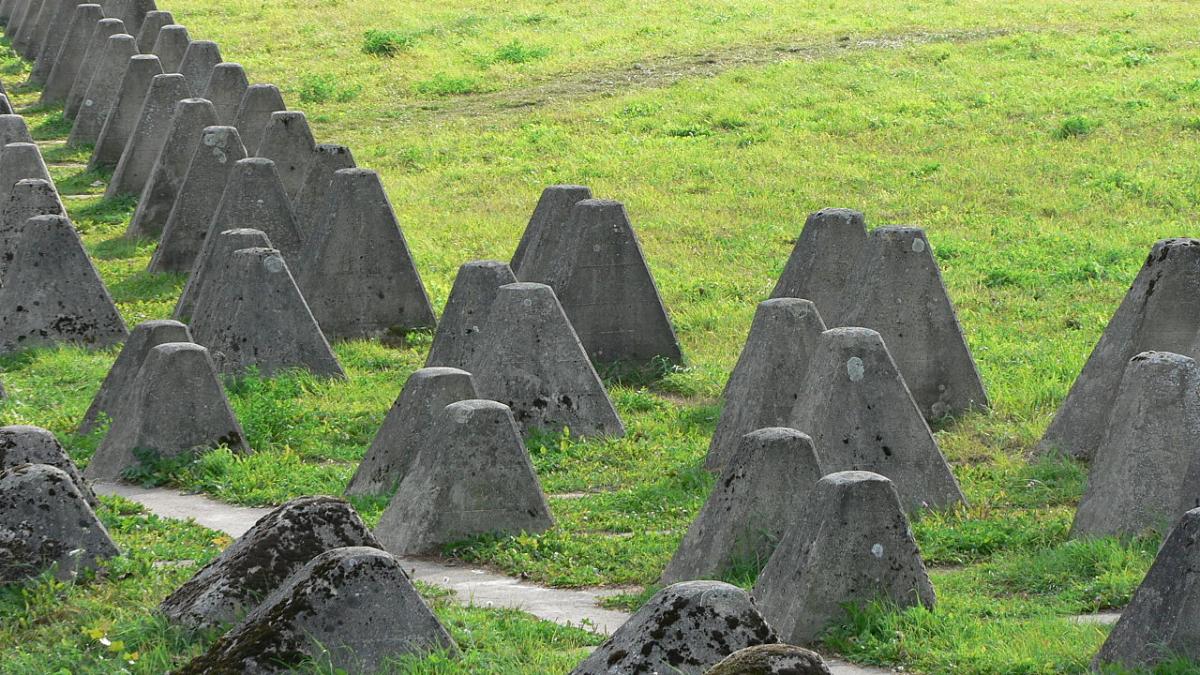 зуб дракона зуб дракона