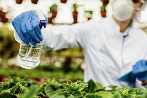 Дачникам на заметку: какие удобрения летом несут смертельную опасность