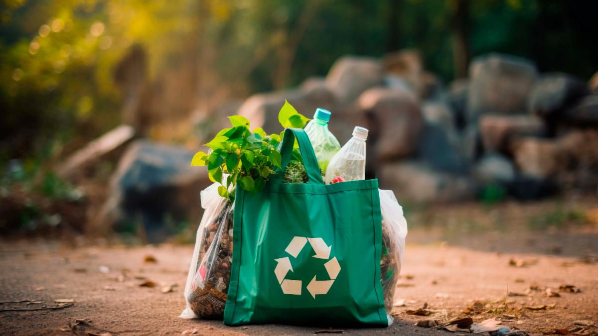 Сумка с пластиком и отходами