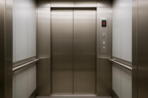 Гравитация против хвостатых: скрытые причины, по которым собаки боятся современных высоток