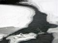 В Пермском крае 4-летняя девочка провалилась под лед