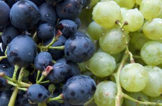 Мыли виноград не так всю жизнь: один простой шаг спасает от пестицидов и грязи