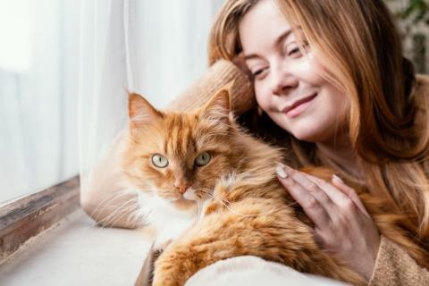 Домашние кошки прибыли в Европу из Африки 2000 лет назад — Science