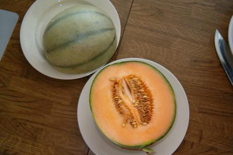 Диетолог Соломатина объяснила, почему не стоит сочетать дыню с мясом и молочными продуктами