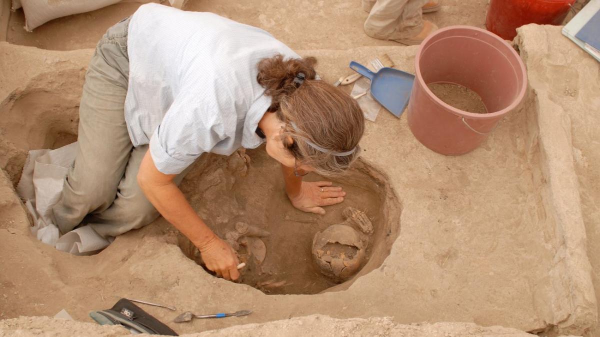 Археологические раскопки