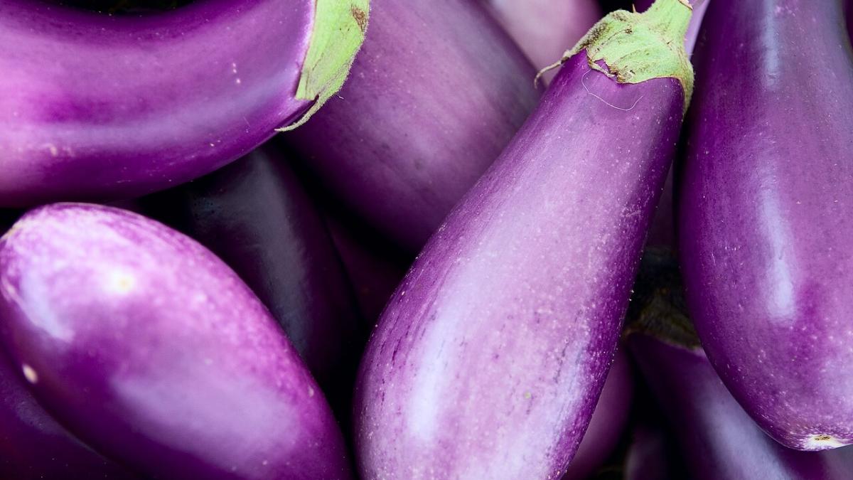 Баклажаны Баклажаны