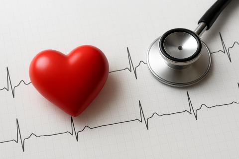 Разработан биоразлагаемый имплант для восстановления нерва сердца — STM