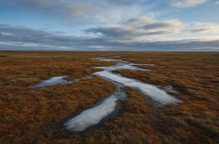 В Надымском районе запустили проект с капсулой времени к 95-летию образования района