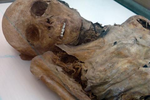 Мумификация была формой арт-терапии для древних людей — Арриаза