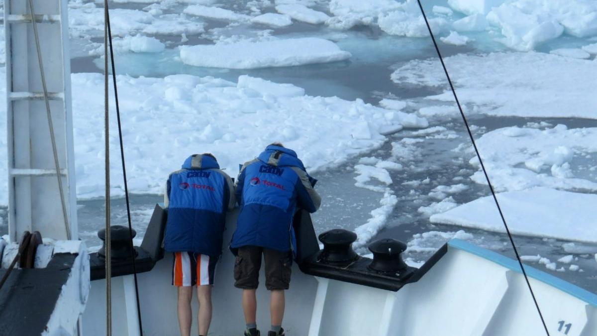 Жаркая Арктика Жаркая Арктика