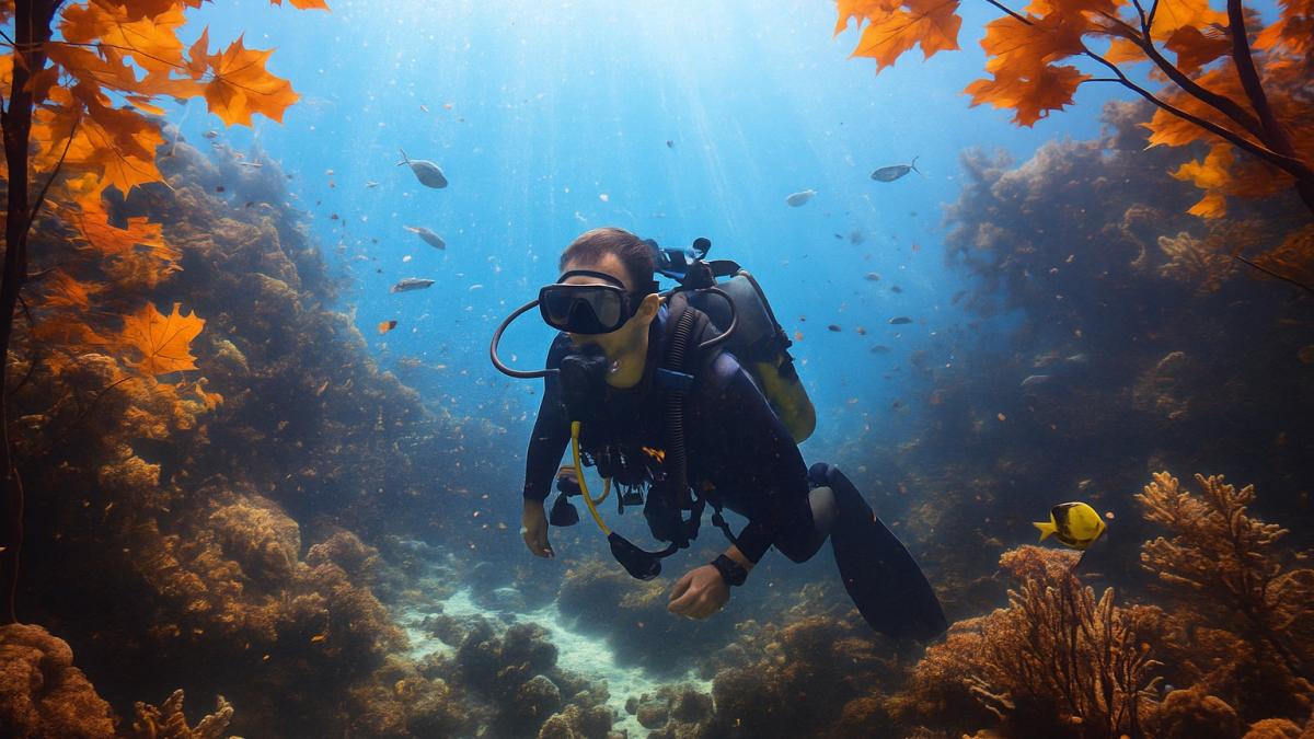 Осенний подводный дайвинг