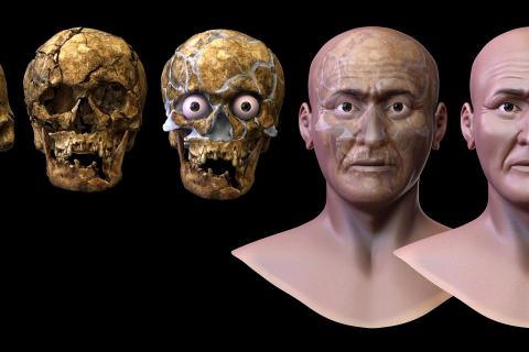 Учёные восстановили облик женщины, жившей 10 000 лет назад, по ДНК из пещеры Марго
