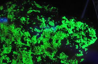 Магнитное поле Урана и его спутники оказались гораздо более динамичными, чем считалось — MiraNews