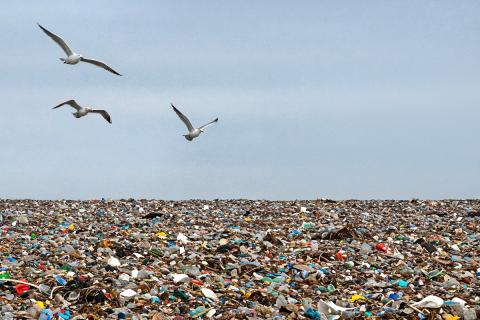 Прокуратура Крыма подала иск к ООО Экострой на 48 млн рублей — прокуратура Крыма