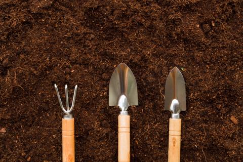 Плохой дренаж приводит к застою влаги и гибели корней даже при мягкой зиме