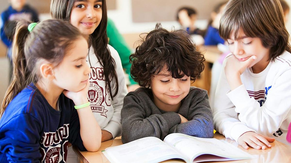 Турецкая школа