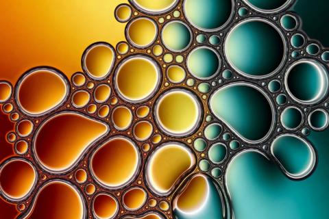 Учёные нашли белок, который заставляет клетки накапливать больше жира — Science