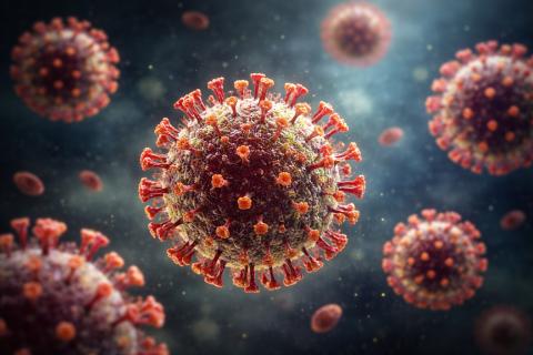 Популярная Индия с неожиданным риском: вирус Нипах заставил пересмотреть правила питания и гигиены