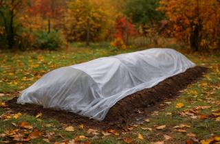 Специалисты предупредили: перекопка осенью ухудшает почву — лучше использовать мульчу и сидераты