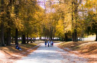 Контакт с природой снижает кортизол и повышает эмоциональную устойчивость
