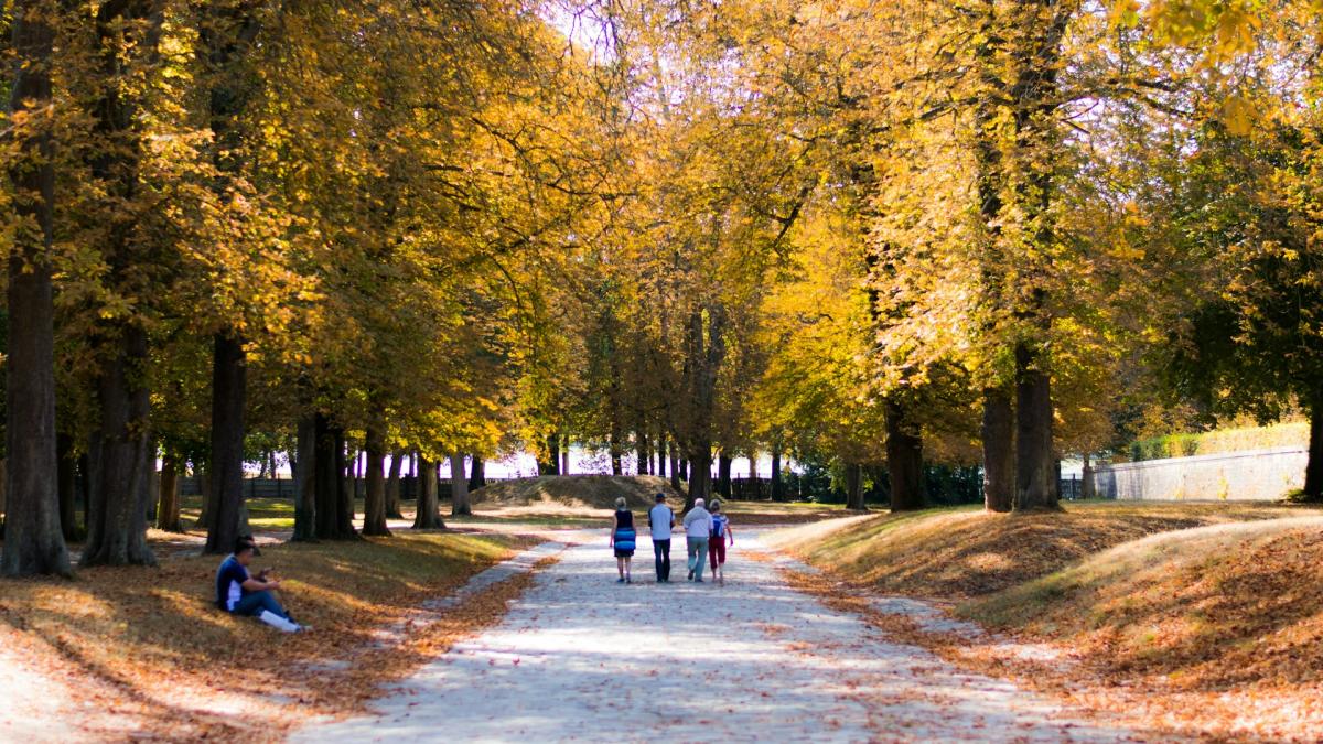 Прогулка по парку