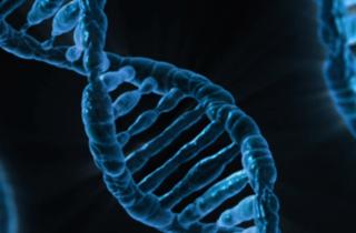 Расшифрован полный геном древнего египтянина возрастом 4500 лет — учёные