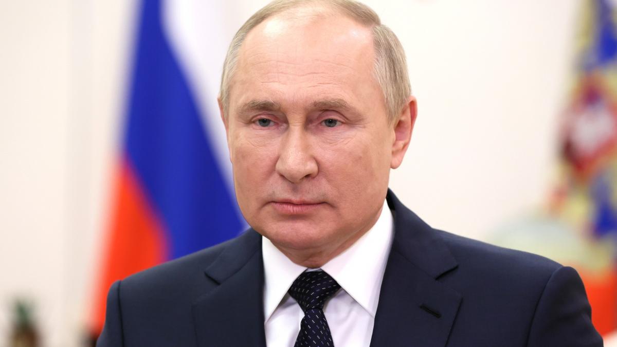 Владимир Путин (10-11-2021) Владимир Путин (10-11-2021)