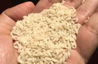 Низкая температура защищает крупы от вредителей и посторонних запахов — ТУТ Новости