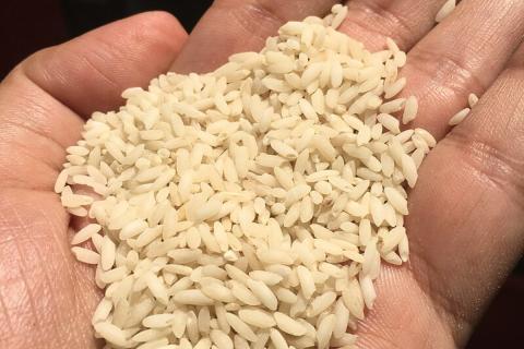 Низкая температура защищает крупы от вредителей и посторонних запахов — ТУТ Новости